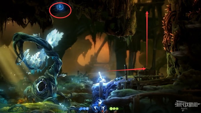 聖靈之光2 (Ori and the Will of the Wisps) 全支線、收集流程圖文攻略