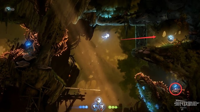 聖靈之光2 (Ori and the Will of the Wisps) 全支線、收集流程圖文攻略