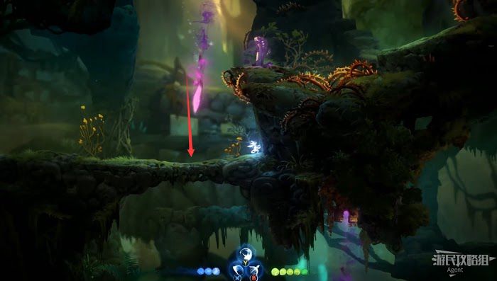 聖靈之光2 (Ori and the Will of the Wisps) 全支線、收集流程圖文攻略
