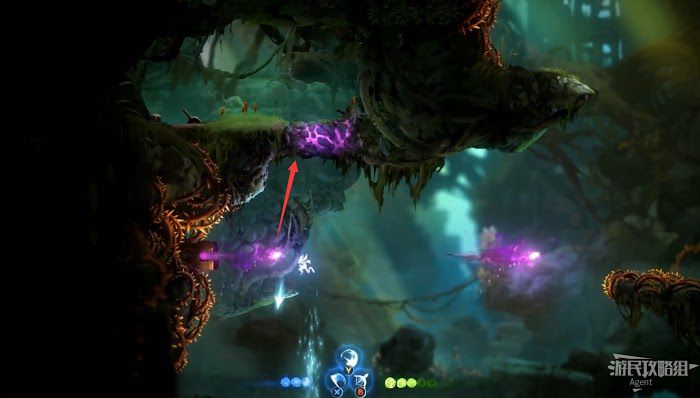 聖靈之光2 (Ori and the Will of the Wisps) 全支線、收集流程圖文攻略