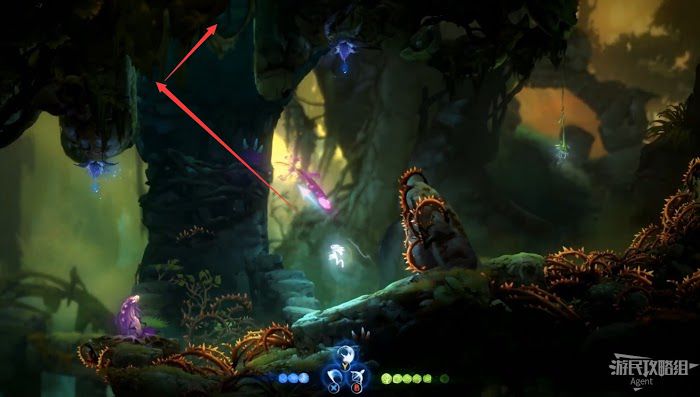 聖靈之光2 (Ori and the Will of the Wisps) 全支線、收集流程圖文攻略
