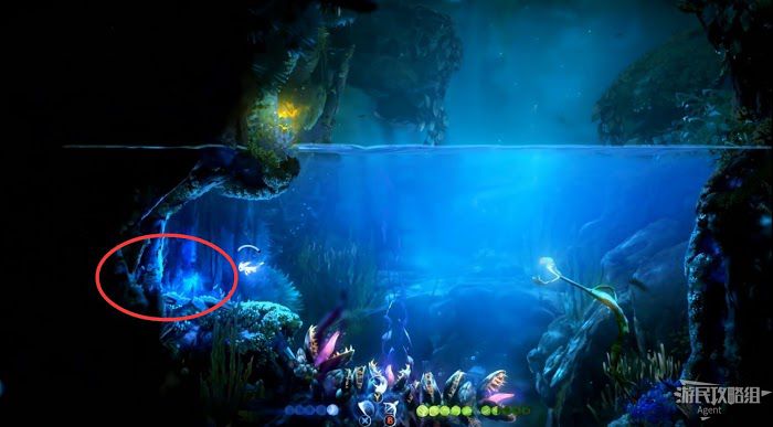 聖靈之光2 (Ori and the Will of the Wisps) 全支線、收集流程圖文攻略