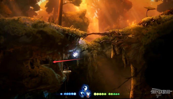 聖靈之光2 (Ori and the Will of the Wisps) 全支線、收集流程圖文攻略