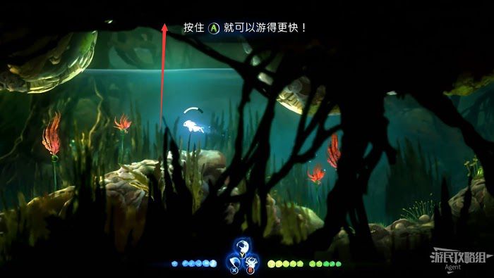 聖靈之光2 (Ori and the Will of the Wisps) 全支線、收集流程圖文攻略