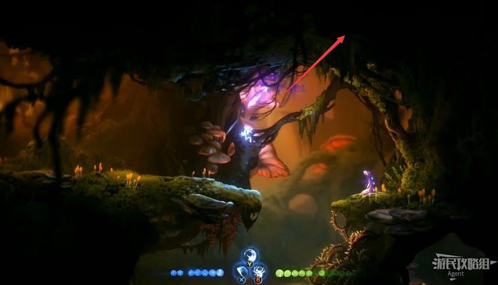 聖靈之光2 (Ori and the Will of the Wisps) 全支線、收集流程圖文攻略