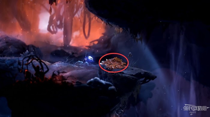 聖靈之光2 (Ori and the Will of the Wisps) 全支線、收集流程圖文攻略