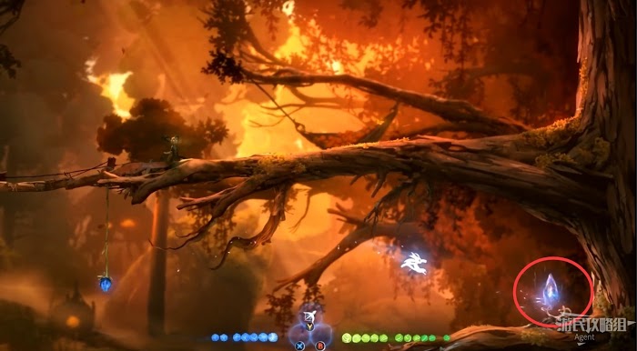 聖靈之光2 (Ori and the Will of the Wisps) 全支線、收集流程圖文攻略
