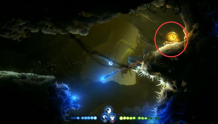 聖靈之光2 (Ori and the Will of the Wisps) 全支線、收集流程圖文攻略