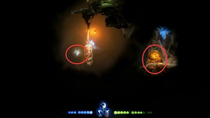 聖靈之光2 (Ori and the Will of the Wisps) 全支線、收集流程圖文攻略