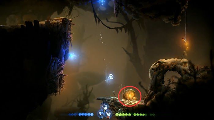 聖靈之光2 (Ori and the Will of the Wisps) 全支線、收集流程圖文攻略