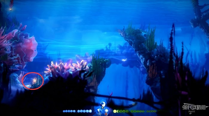 聖靈之光2 (Ori and the Will of the Wisps) 全支線、收集流程圖文攻略