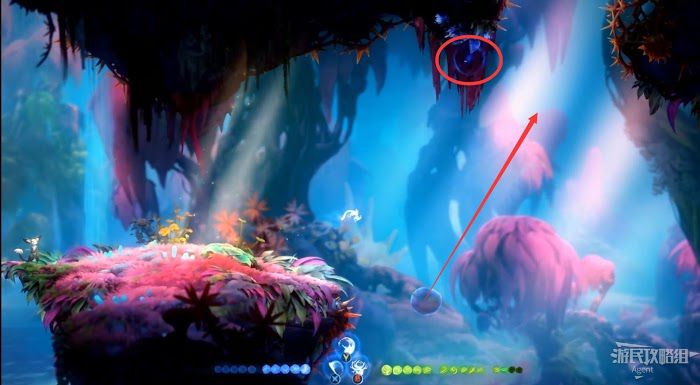 聖靈之光2 (Ori and the Will of the Wisps) 全支線、收集流程圖文攻略