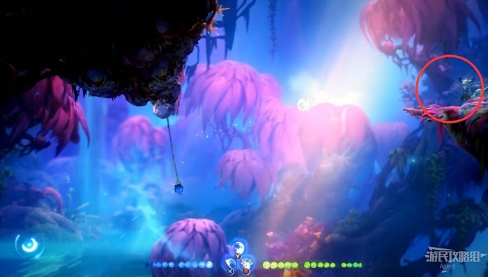 聖靈之光2 (Ori and the Will of the Wisps) 全支線、收集流程圖文攻略