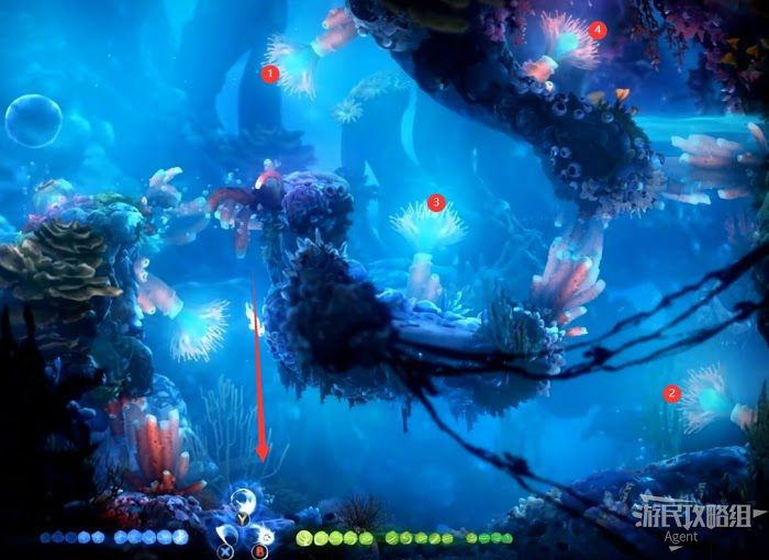 聖靈之光2 (Ori and the Will of the Wisps) 全支線、收集流程圖文攻略