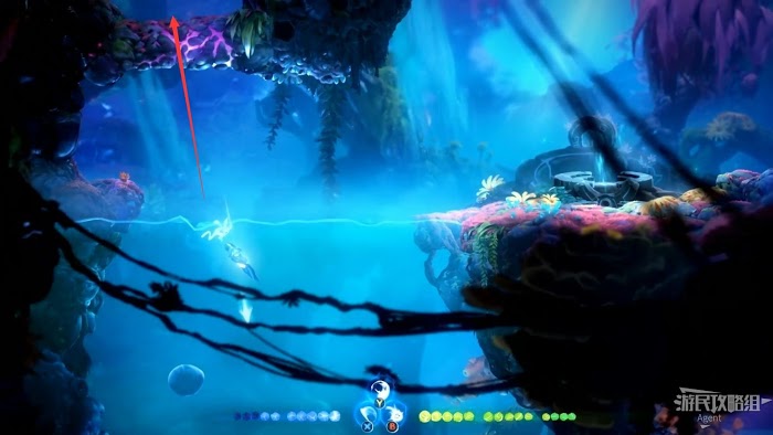 聖靈之光2 (Ori and the Will of the Wisps) 全支線、收集流程圖文攻略