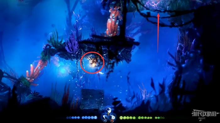 聖靈之光2 (Ori and the Will of the Wisps) 全支線、收集流程圖文攻略