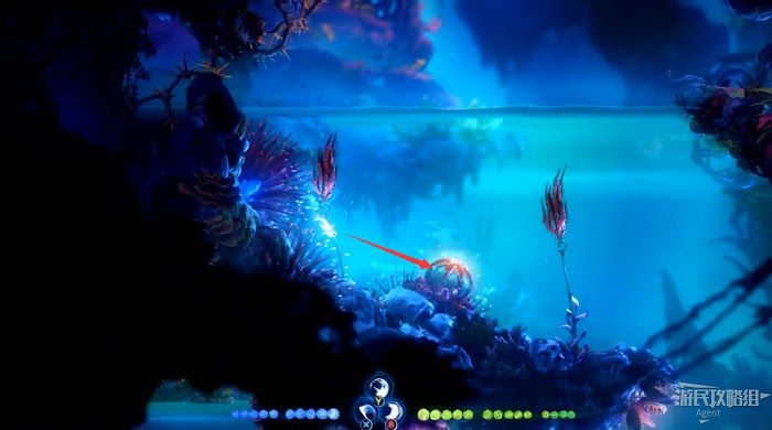 聖靈之光2 (Ori and the Will of the Wisps) 全支線、收集流程圖文攻略