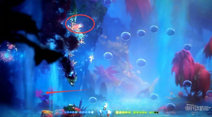聖靈之光2 (Ori and the Will of the Wisps) 全支線、收集流程圖文攻略