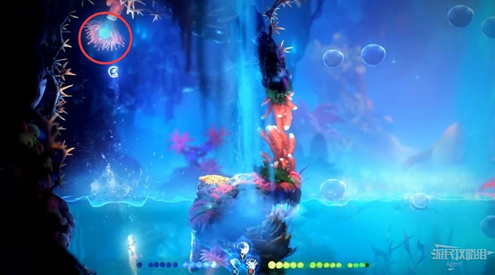 聖靈之光2 (Ori and the Will of the Wisps) 全支線、收集流程圖文攻略