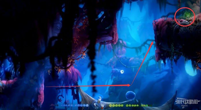聖靈之光2 (Ori and the Will of the Wisps) 全支線、收集流程圖文攻略