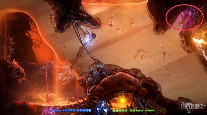 聖靈之光2 (Ori and the Will of the Wisps) 全支線、收集流程圖文攻略