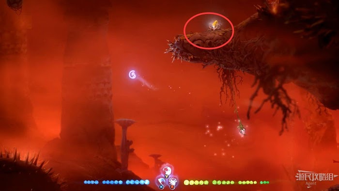 聖靈之光2 (Ori and the Will of the Wisps) 全支線、收集流程圖文攻略