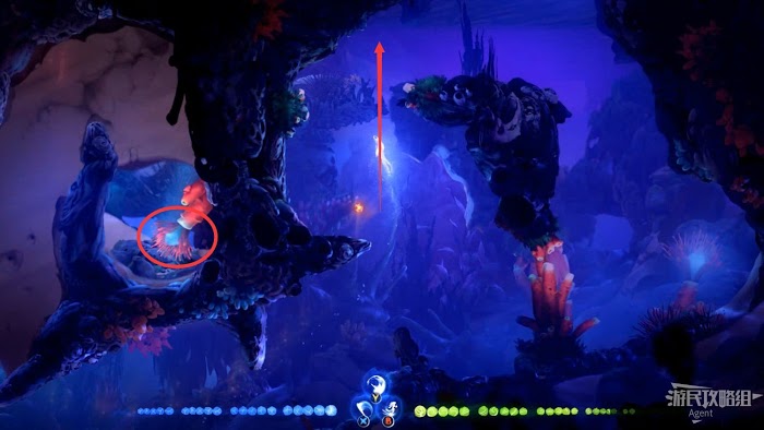 聖靈之光2 (Ori and the Will of the Wisps) 全支線、收集流程圖文攻略