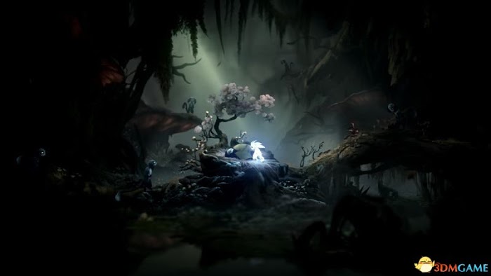 聖靈之光2 (Ori and the Will of the Wisps) 圖文全攻略