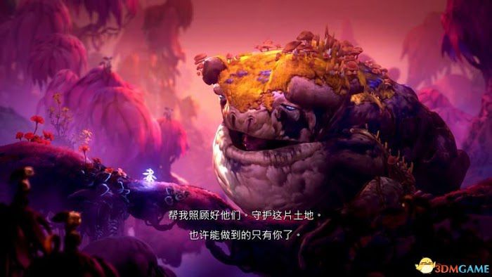 聖靈之光2 (Ori and the Will of the Wisps) 圖文全攻略