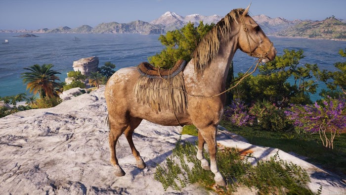 刺客教條 奧德賽 (Assassin's Creed Odyssey) 全馬匹圖鑑與取得方法