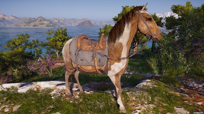 刺客教條 奧德賽 (Assassin's Creed Odyssey) 全馬匹圖鑑與取得方法