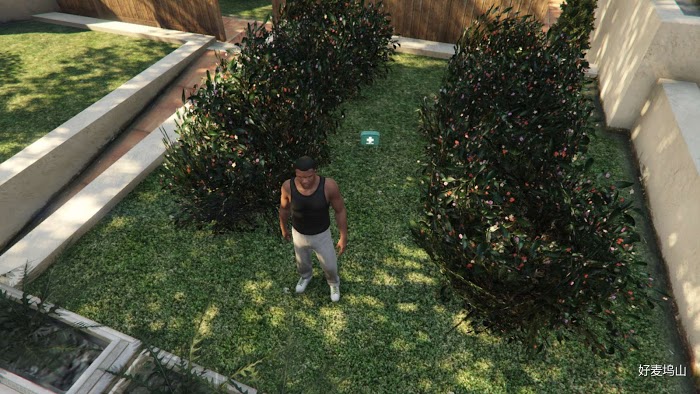 俠盜獵車手5 (GTA 5) 醫療包取得地點分享