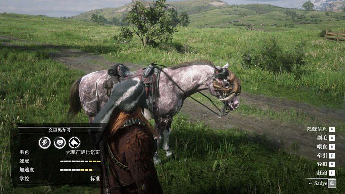 碧血狂殺2 (Red Dead Redemption 2) 實用美觀服裝與馬匹推薦