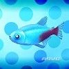 勇者鬥惡龍 創世小玩家 2 破壞神席德與空蕩島 DLC水族館包全釣魚地點 圖2