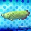 勇者鬥惡龍 創世小玩家 2 破壞神席德與空蕩島 DLC水族館包全釣魚地點 圖23