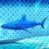 勇者鬥惡龍 創世小玩家 2 破壞神席德與空蕩島 DLC水族館包全釣魚地點 圖40