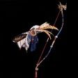 魔物獵人 世界 Iceborne USJ無限的閃耀聯名任務攻略與獎勵分享 圖4