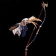 魔物獵人 世界 Iceborne USJ無限的閃耀聯名任務攻略與獎勵分享 圖5