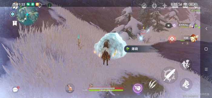 原神 (Genshin Impact) 冷鮮肉、星銀礦石點位分享