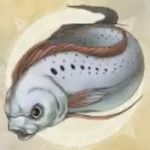 萊莎的鍊金工房 2 失落傳說與秘密妖精 萬年魚的取得方法和使用途徑