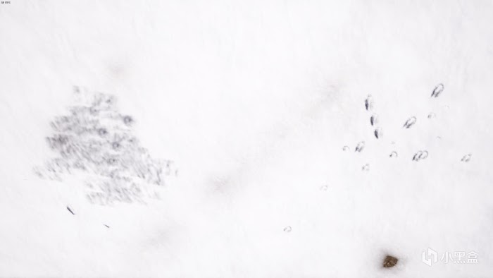 絕地求生 (Playerunknown's Battlegrounds) 雪地腳印區別與不留腳印方法