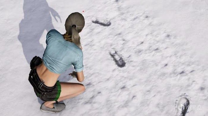 絕地求生 (Playerunknown's Battlegrounds) 雪地腳印區別與不留腳印方法