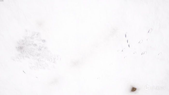 絕地求生 (Playerunknown's Battlegrounds) 雪地腳印區別與不留腳印方法