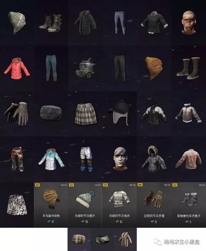 絕地求生 (Playerunknown's Battlegrounds) 生還者維寒迪通行證獎勵分享