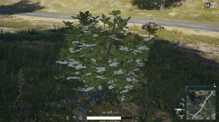 絕地求生 (Playerunknown's Battlegrounds) 陰人、釣魚位置與打法詳解
