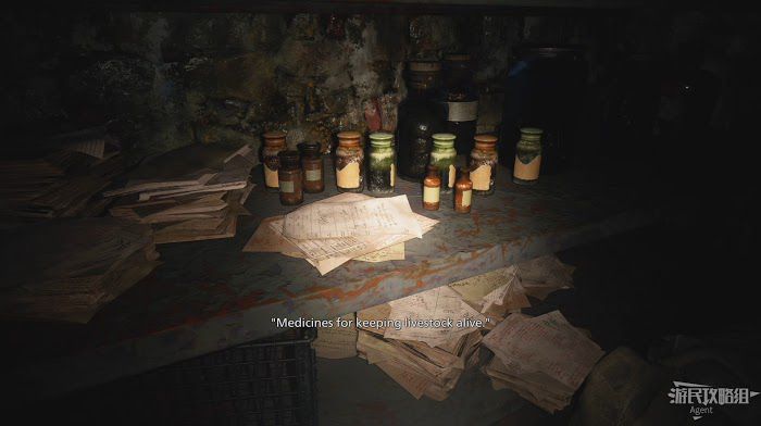 惡靈古堡 8 村莊 (Resident Evil Village) Resident Evil Village 視覺Demo MAIDEN 圖文攻略