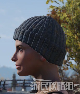 異塵餘生76 (Fallout 76) 全配飾圖鑑與取得方法合集