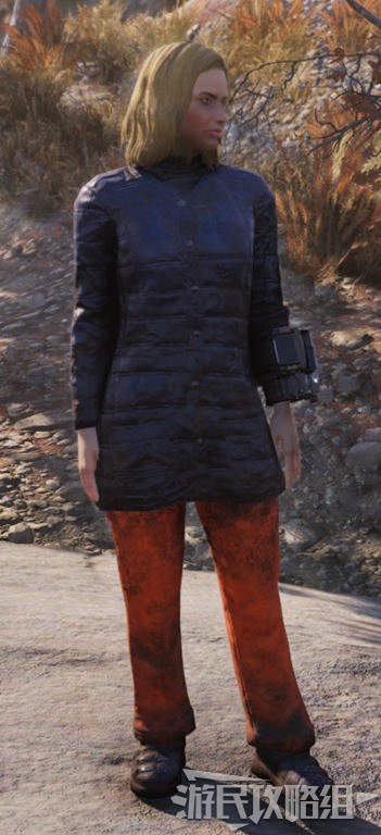 異塵餘生76 (Fallout 76) 服裝圖鑑與取得方法詳解