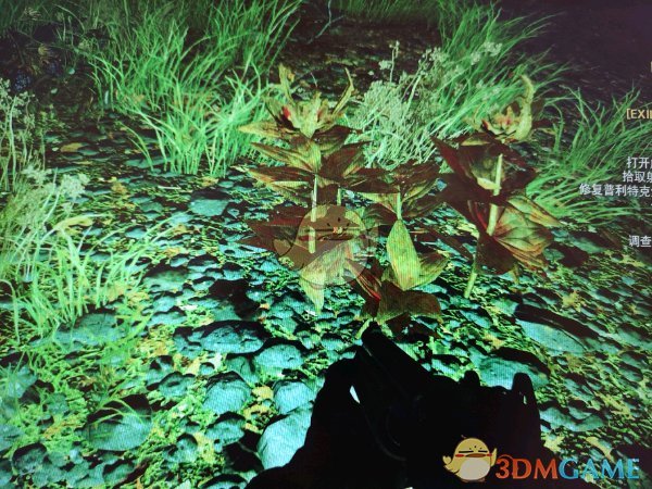 異塵餘生76 (Fallout 76) 爆竹漿果收集地點分享