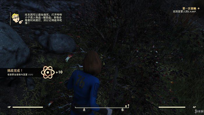 異塵餘生76 (Fallout 76) 遊戲圖文攻略